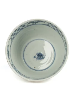 Outlet Studio Wani Bowl-Triceratops