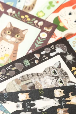 Hot Mino Washi Cat in the Picture Book Post Card - 11 choices