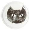 Clearance Mino Pottery Cat's Face Plate S BK
