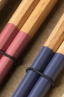 Online Mino Pottery Chopsticks - 2 Pairs - Yasashi-Irodori