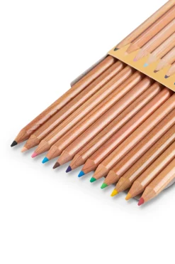 Online Kitaboshi Pencil 12 Color Pencil Set