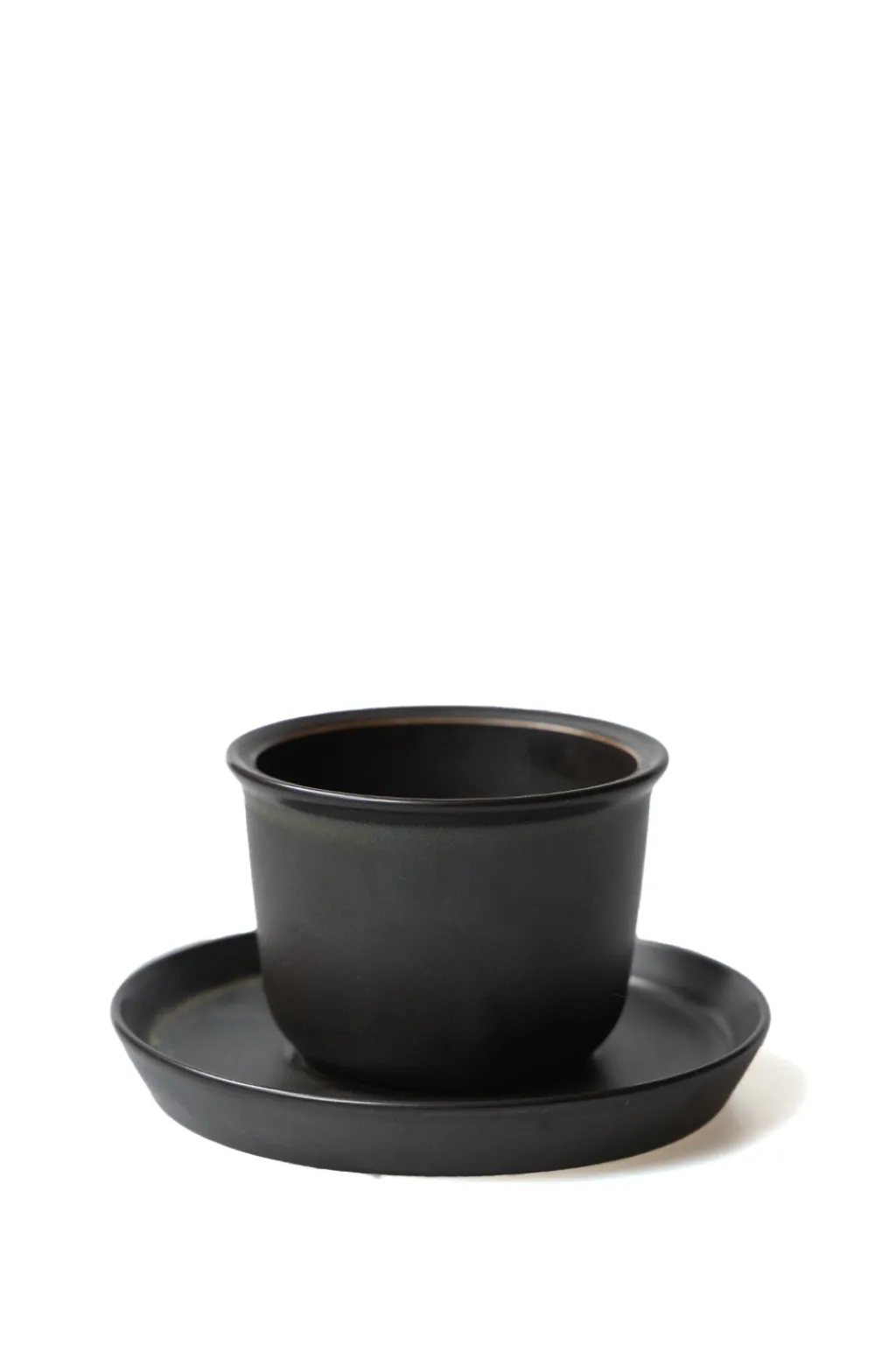 Hot Kinto LEAVES TO TEA Cup & Saucer 160ml - 1 set