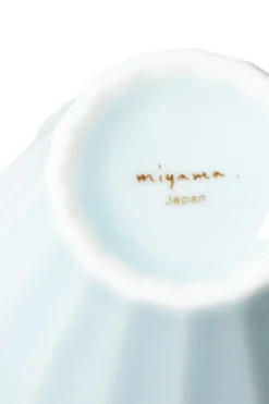 New Mino Pottery Miyama Sake Set