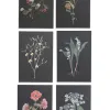 Outlet Mino Washi sasaki megumi POST CARDS - 6 CHOICES