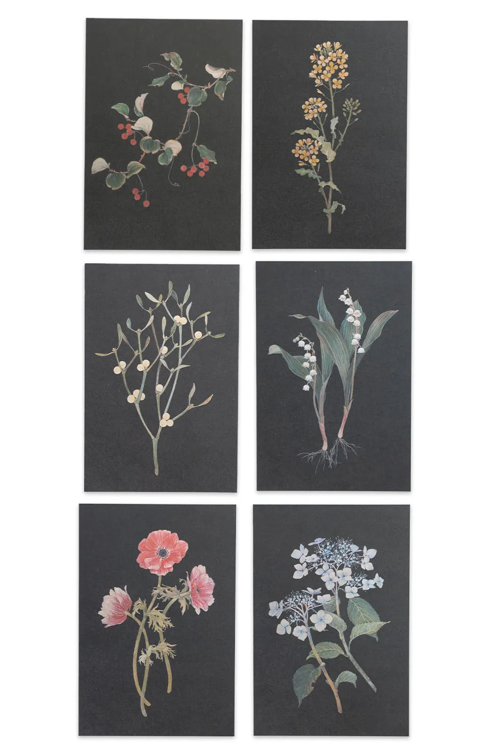 Outlet Mino Washi sasaki megumi POST CARDS - 6 CHOICES
