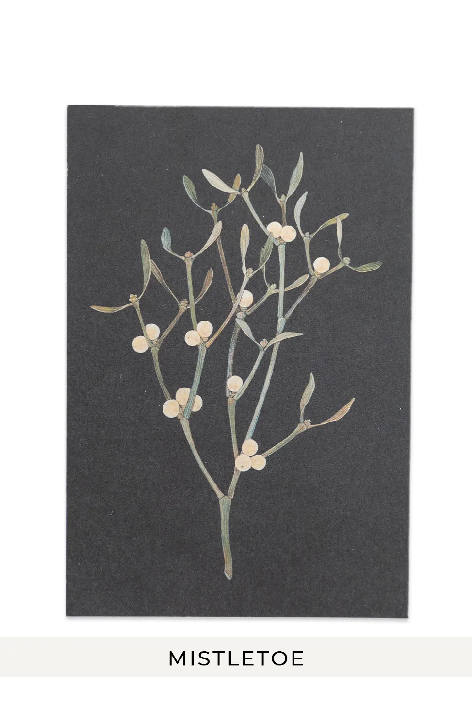 Outlet Mino Washi sasaki megumi POST CARDS - 6 CHOICES