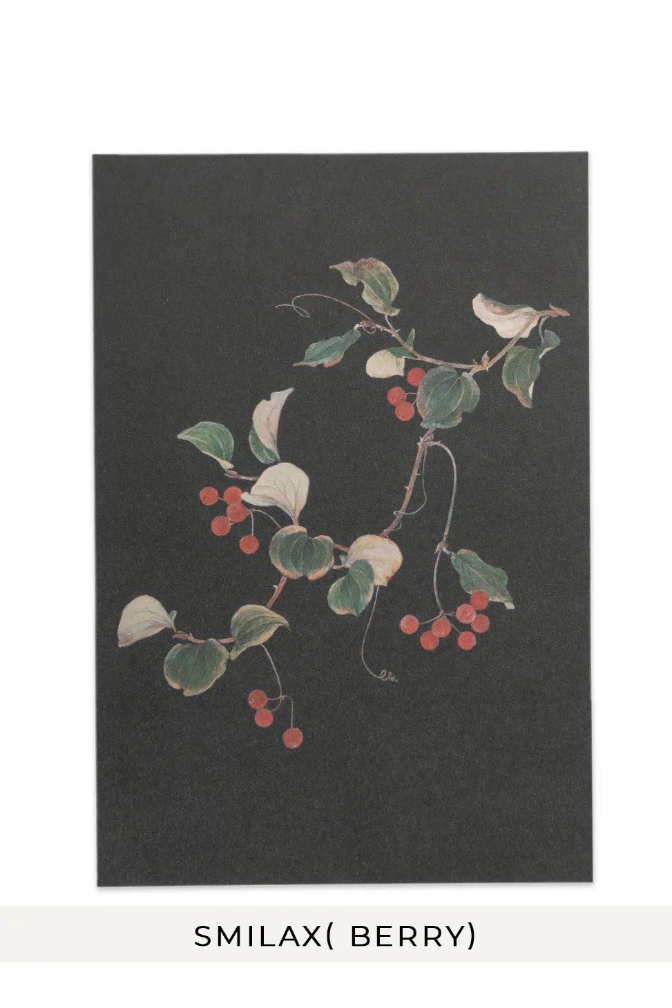 Outlet Mino Washi sasaki megumi POST CARDS - 6 CHOICES