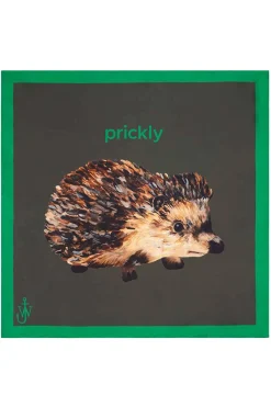 Online JW Anderson Silk Scarf - Hedgehog Print