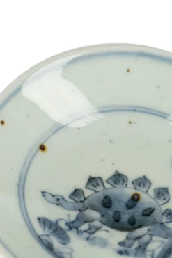 Fashion Studio Wani Small Plate-Stegosaurus