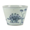 Online Studio Wani Soba Choko-Stegosaurus