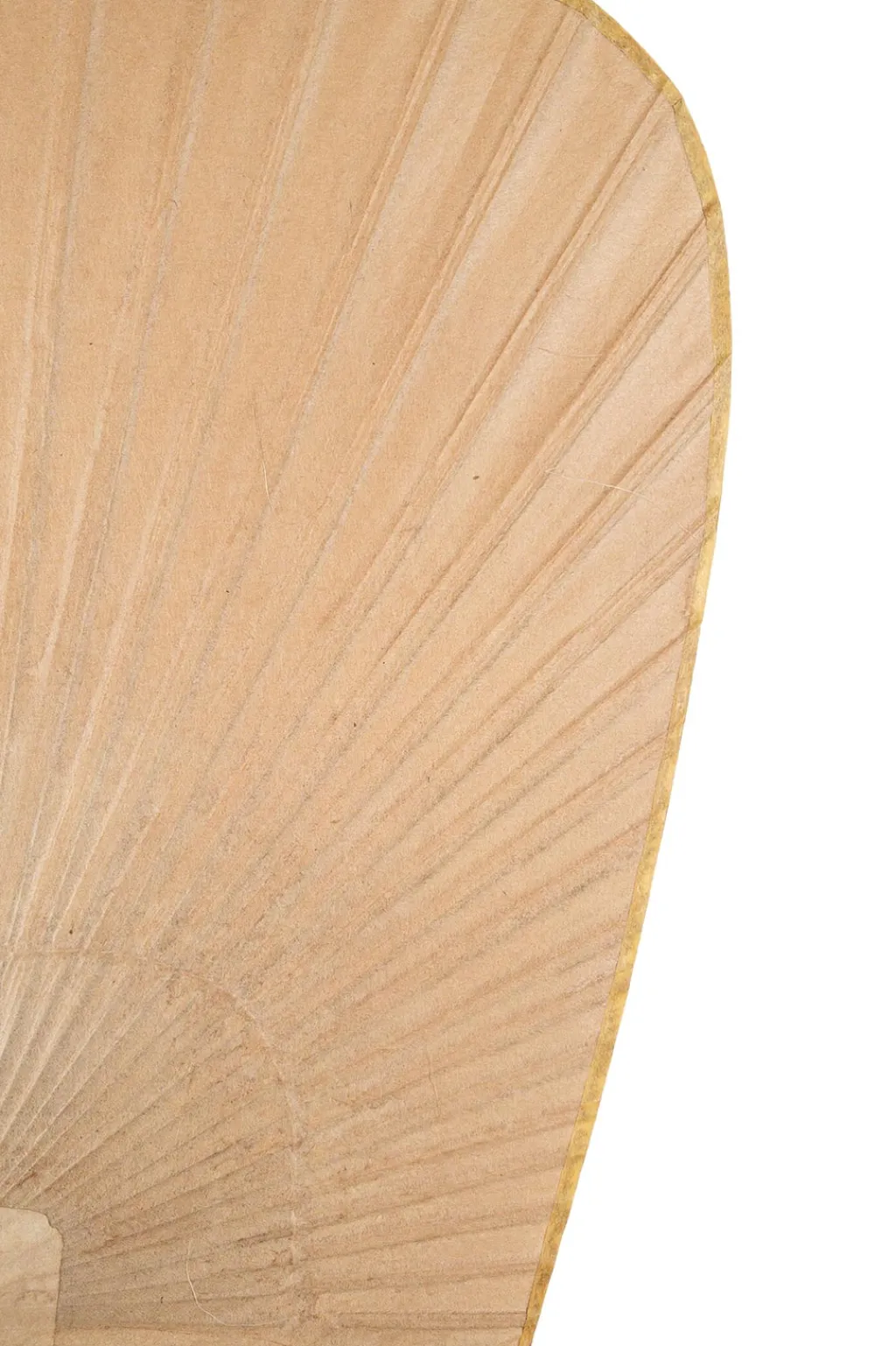 Clearance Kurikawa Shoten Traditional Paper Fan/ Shibu - Sensen